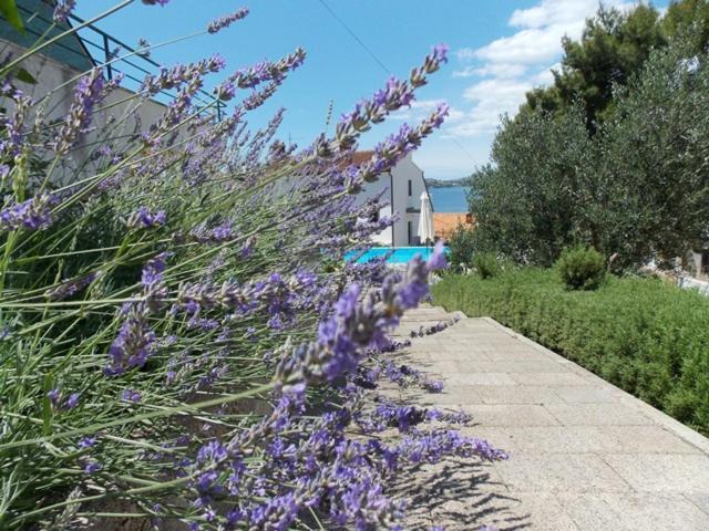 Apartments Villa Goja Trogir Quarto foto