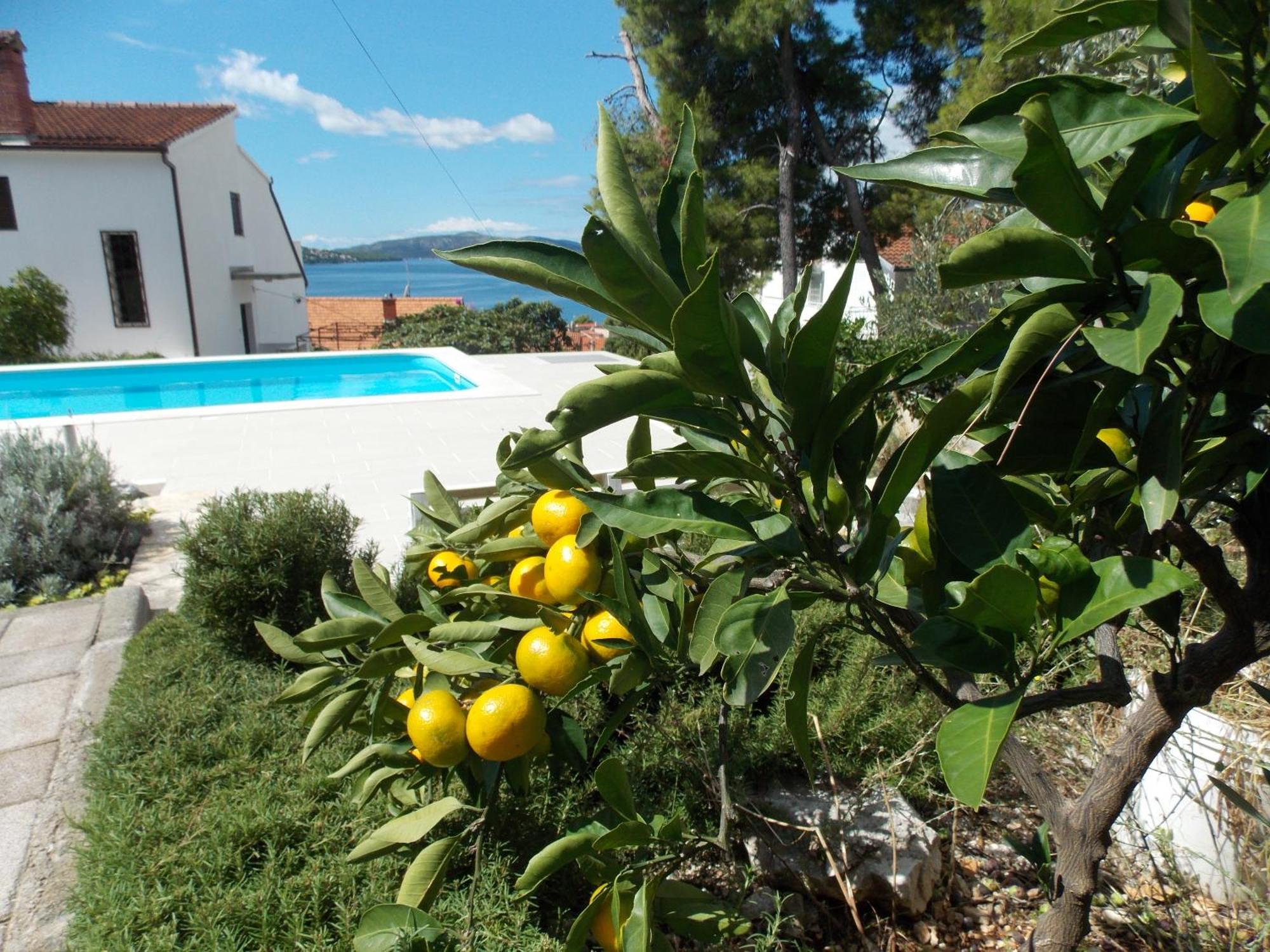 Apartments Villa Goja Trogir Quarto foto