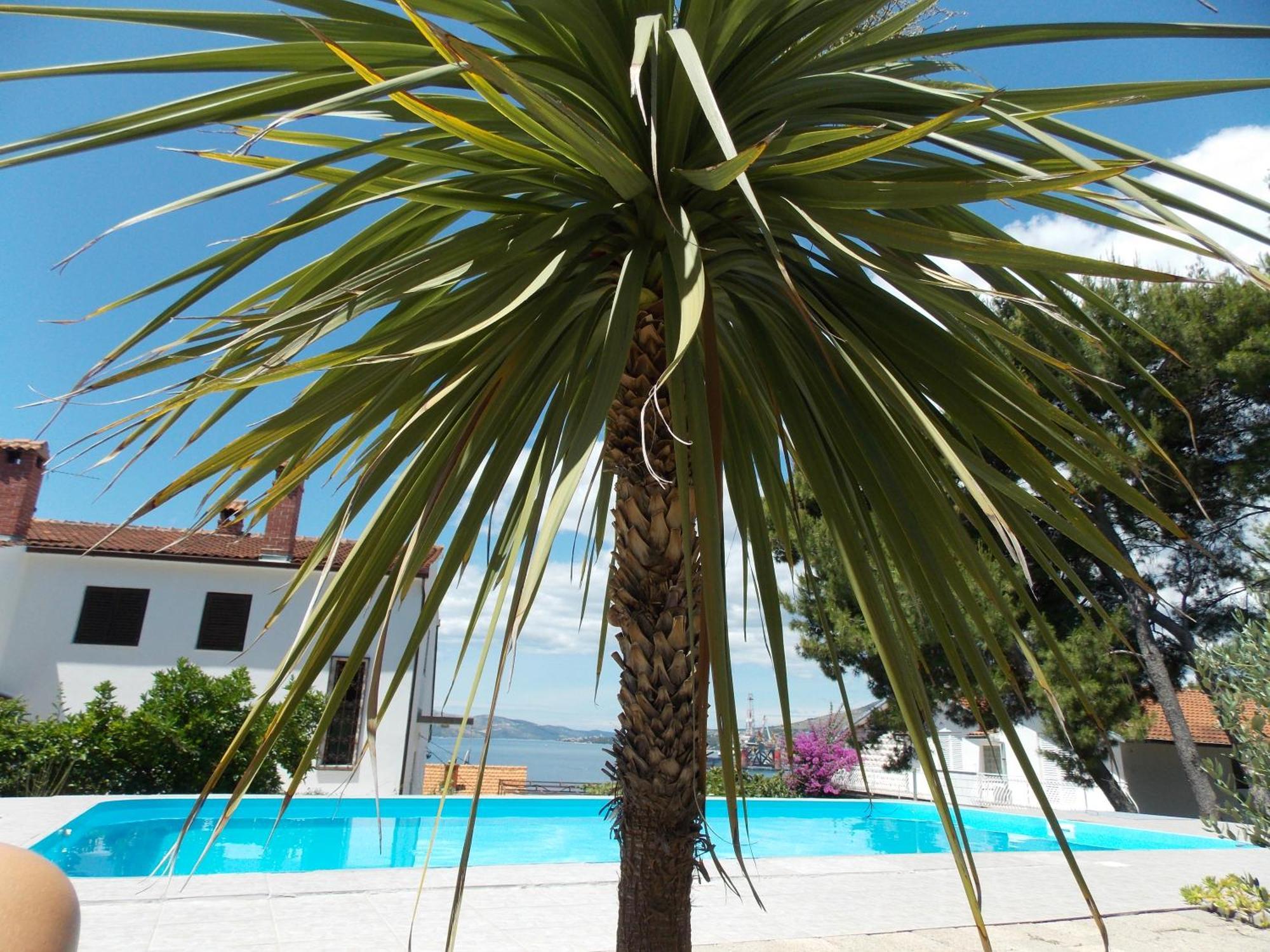 Apartments Villa Goja Trogir Quarto foto